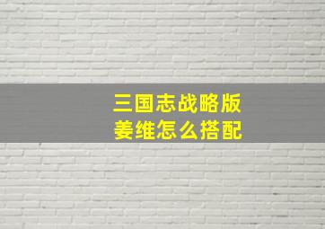 三国志战略版 姜维怎么搭配